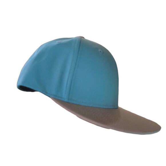 Sesame street Cookie Monster Hat Sesame Place Snapback 2017 - Picture 4 of 6